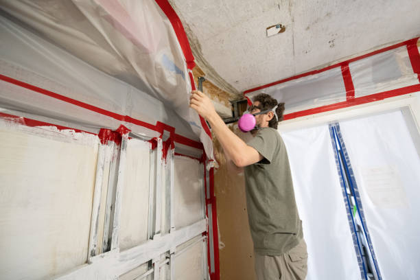 Best Environmental Consulting for Mold Prevention  in Verona, MS